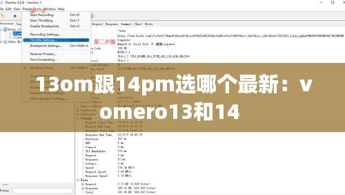 13om跟14pm選哪個最新:vomero13和14