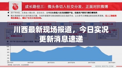 川西最新現場報道,今日實況更新消息速遞