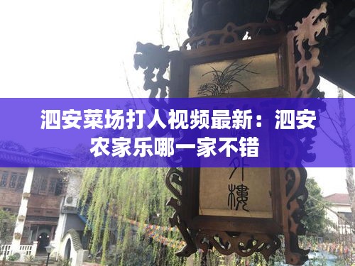 泗安菜場打人視頻最新：泗安農家樂哪一家不錯 