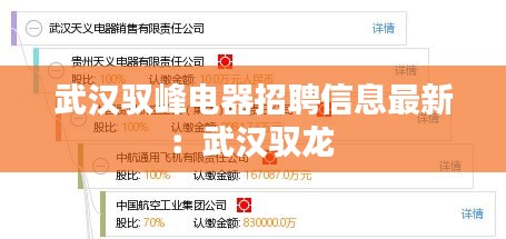武漢馭峰電器招聘信息最新:武漢馭龍