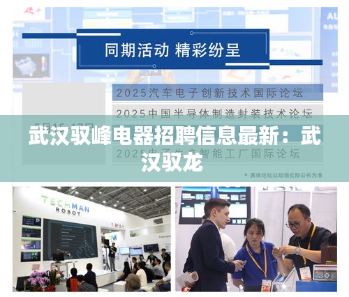 武漢馭峰電器招聘信息最新:武漢馭龍