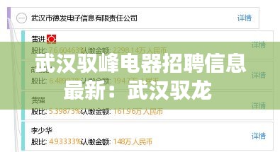 武漢馭峰電器招聘信息最新:武漢馭龍