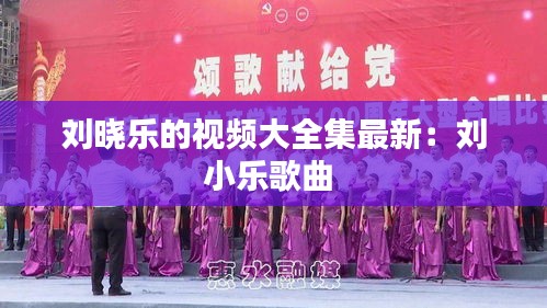 劉曉樂的視頻大全集最新:劉小樂歌曲