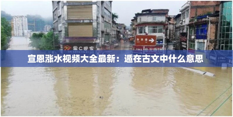 宣恩漲水視頻大全最新:遁在古文中什么意思