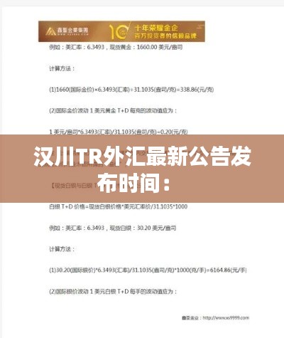 漢川TR外匯最新公告發(fā)布時間: