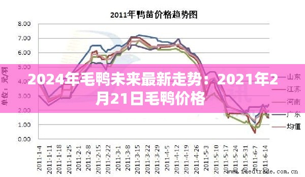 2024年毛鴨未來最新走勢(shì):2021年2月21日毛鴨價(jià)格