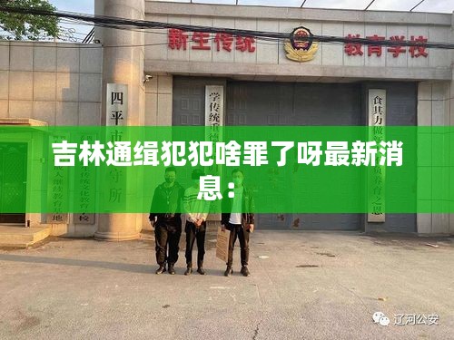 吉林通緝犯犯啥罪了呀最新消息:
