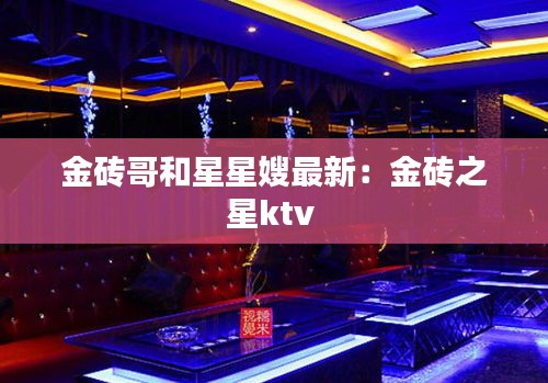 金磚哥和星星嫂最新:金磚之星ktv