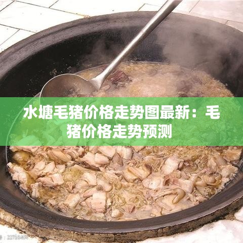 水塘毛豬價格走勢圖最新：毛豬價格走勢預測 