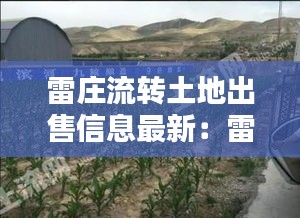 雷莊流轉土地出售信息最新:雷莊是哪里