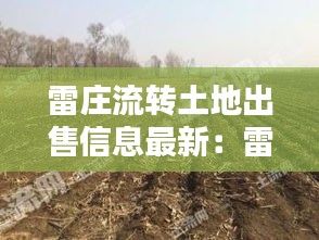 雷莊流轉土地出售信息最新:雷莊是哪里