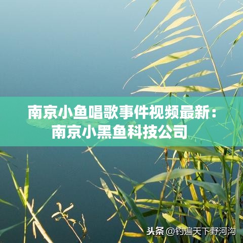 南京小魚唱歌事件視頻最新:南京小黑魚科技公司