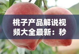 桃子產(chǎn)品解說(shuō)視頻大全最新：秒懂百科桃子 