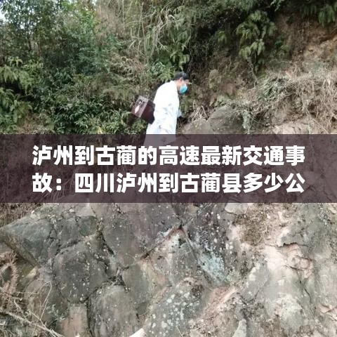 瀘州到古藺的高速最新交通事故：四川瀘州到古藺縣多少公里 