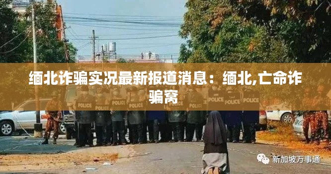 長(zhǎng)頸鳥(niǎo)喙 第2頁(yè)