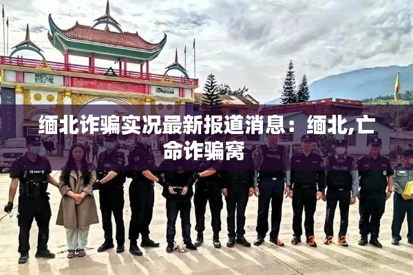 緬北詐騙實況最新報道消息:緬北,亡命詐騙窩