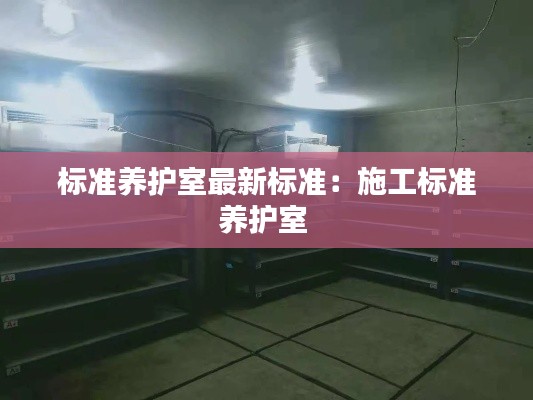 標準養護室最新標準：施工標準養護室 