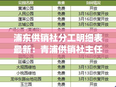 浦東供銷社分工明細(xì)表最新:青浦供銷社主任