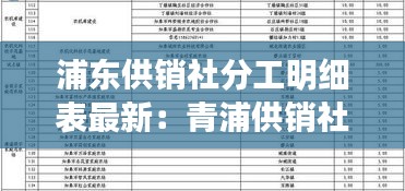 浦東供銷社分工明細(xì)表最新:青浦供銷社主任