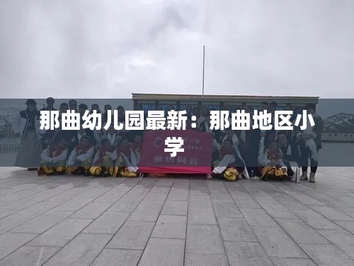 那曲幼兒園最新：那曲地區(qū)小學(xué) 