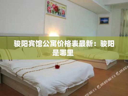 駿陽(yáng)賓館公寓價(jià)格表最新:駿陽(yáng)是哪里