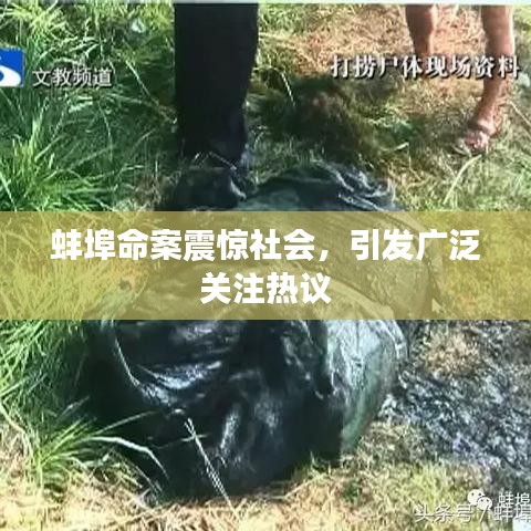 蚌埠命案震驚社會,引發廣泛關注熱議