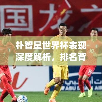 樸智星世界杯表現深度解析,排名背后的故事