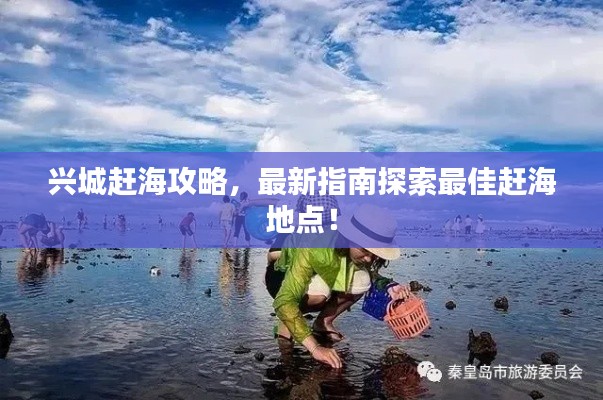 興城趕海攻略,最新指南探索最佳趕海地點(diǎn)!