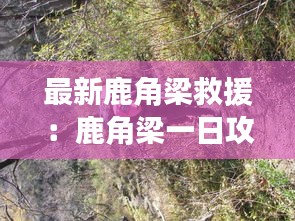 最新鹿角梁救援:鹿角梁一日攻略