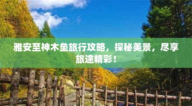 雅安至神木壘旅行攻略，探秘美景，盡享旅途精彩！