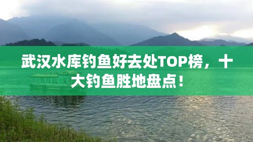 武漢水庫釣魚好去處TOP榜,十大釣魚勝地盤點!