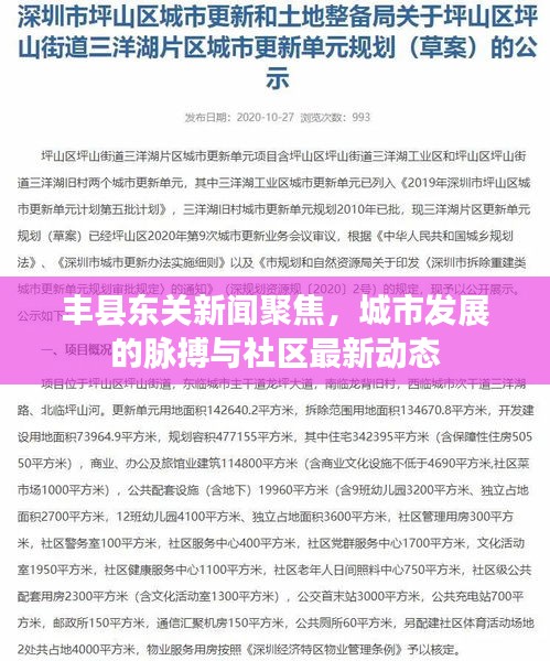 豐縣東關新聞聚焦,城市發展的脈搏與社區最新動態