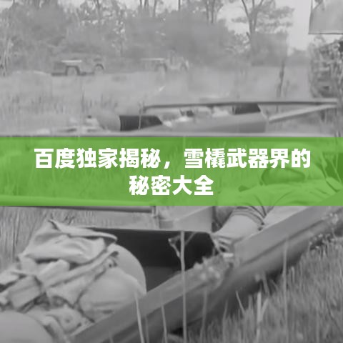 百度獨家揭秘,雪橇武器界的秘密大全