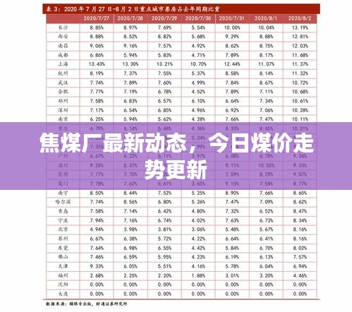 焦煤廠最新動態,今日煤價走勢更新