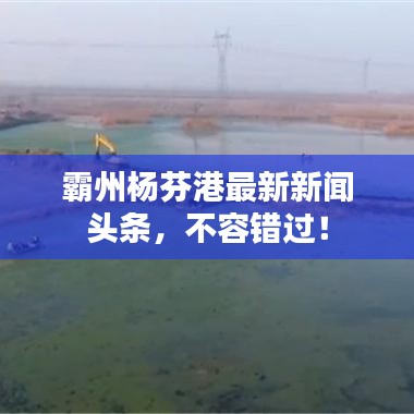 霸州楊芬港最新新聞頭條,不容錯過!