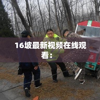16坡最新視頻在線觀看: