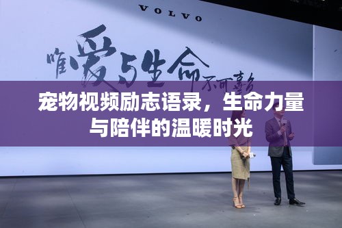 寵物視頻勵志語錄,生命力量與陪伴的溫暖時光