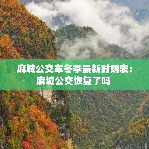 學(xué)貫中西 第4頁