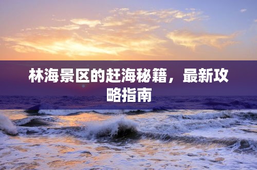 林海景區(qū)的趕海秘籍,最新攻略指南