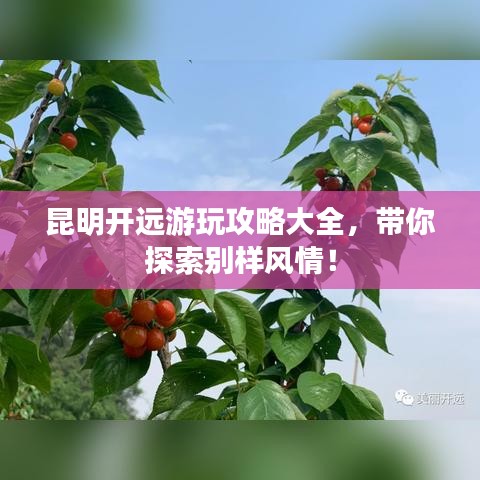 昆明開遠游玩攻略大全,帶你探索別樣風情!