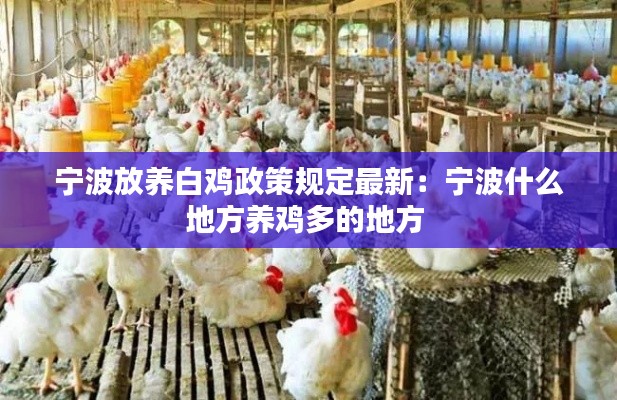 寧波放養(yǎng)白雞政策規(guī)定最新：寧波什么地方養(yǎng)雞多的地方 