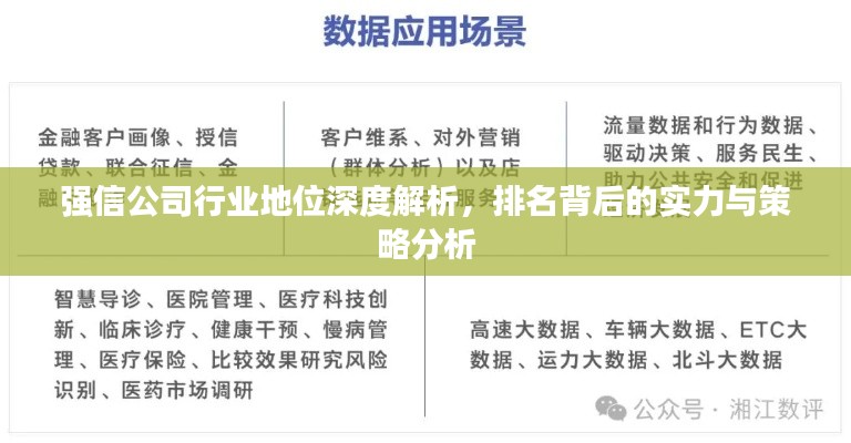 強信公司行業地位深度解析,排名背后的實力與策略分析