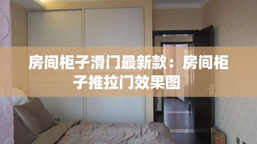 房間柜子滑門最新款:房間柜子推拉門效果圖