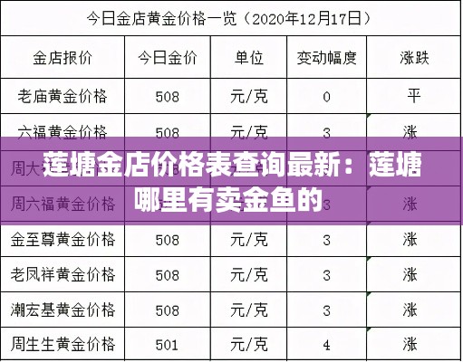 蓮塘金店價(jià)格表查詢最新：蓮塘哪里有賣金魚的 