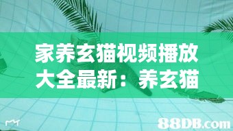 家養玄貓視頻播放大全最新:養玄貓的好處