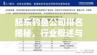 肥東釣魚公司排名揭秘，行業概述與熱門推薦