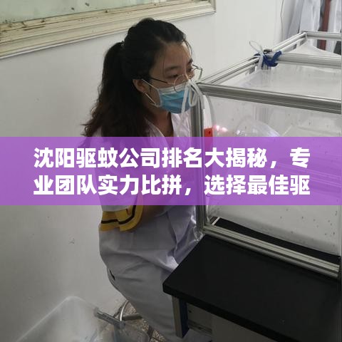 沈陽驅蚊公司排名大揭秘,專業團隊實力比拼,選擇最佳驅蚊服務!