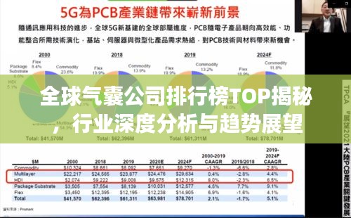 全球氣囊公司排行榜TOP揭秘，行業深度分析與趨勢展望
