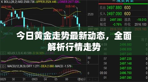 今日黃金走勢最新動態,全面解析行情走勢