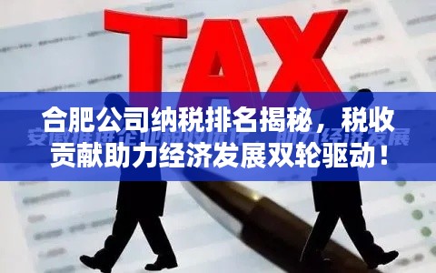 合肥公司納稅排名揭秘，稅收貢獻(xiàn)助力經(jīng)濟(jì)發(fā)展雙輪驅(qū)動！